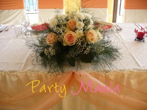 �������� � ����� ������� Party Mania